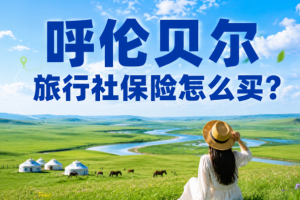呼伦贝尔旅行社保险怎么买？草原旺季、包车长线和骑马项目要提前配好