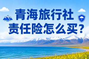 青海旅行社责任险怎么买？