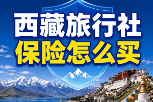 西藏旅行社保险怎么买？拉萨地接、林芝摄影、珠峰阿里和登山徒步怎么配