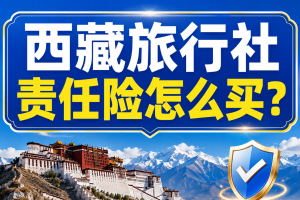 西藏旅行社责任险怎么买？拉萨地接和进藏组团社不要只为资质买最低价