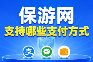 保游网支持哪些支付方式？支付失败怎么办？