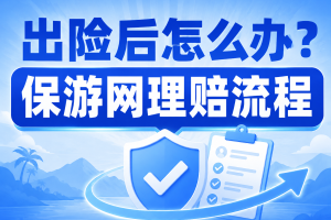 出险后怎么办？理赔流程是怎样的？需要哪些材料？