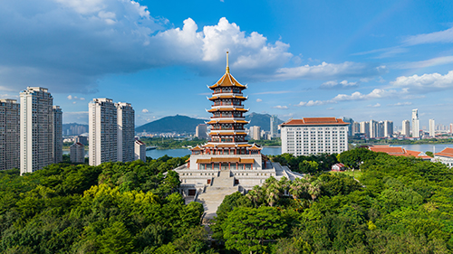 2026旅行社责任险购买避坑指南：六大陷阱与解决方案