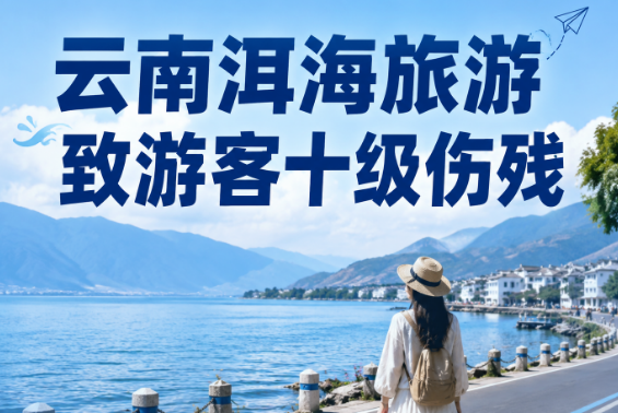 云南洱海旅游致游客十级伤残，48万该组团还是地接赔？
