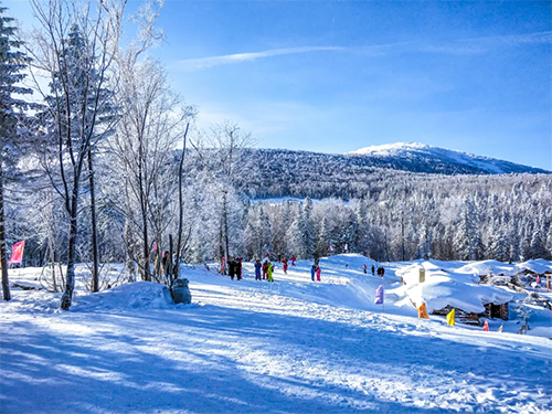 雪乡旅游团，游客自由活动时滑雪受伤，这18万旅行社赔得冤吗？！