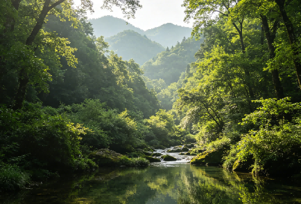 高反失温保险怎么选？去登山徒步一定要看的能保6000米、高反失温、含搜救的产品！